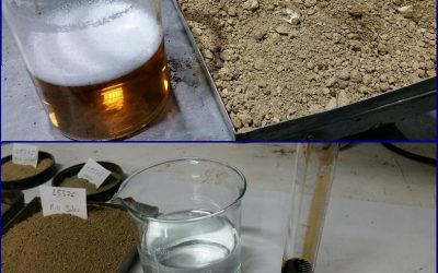 Estabilización de suelos con enzimas.