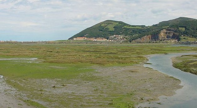 marismas_de_santona_wikipedia