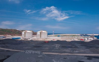 Obras de pavimentación trasera del Muelle Marcelino León (Fase I)